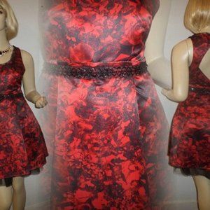 Princess Vera Wang Red and Black Dress with Tulle